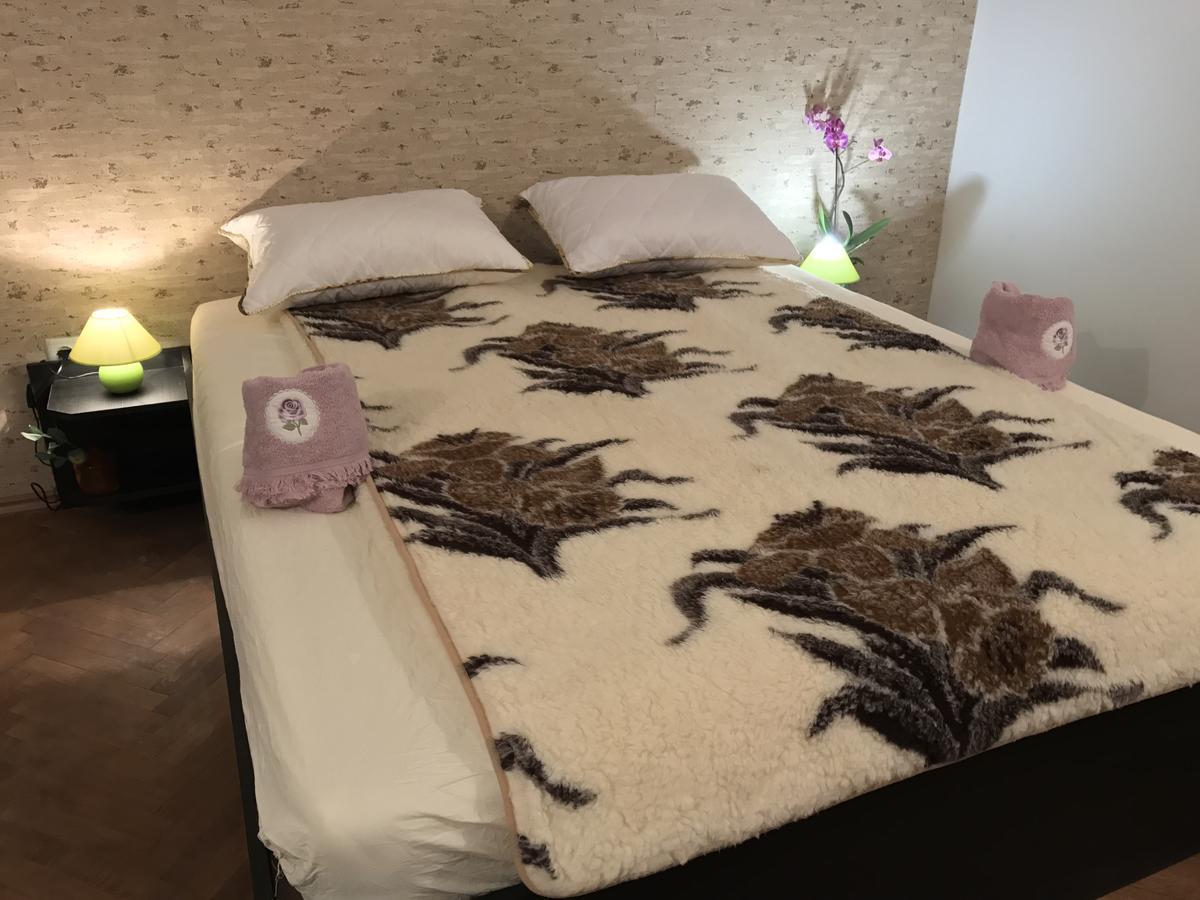 索非亚美丽之星住宿加早餐旅馆 索菲亞 外观 照片